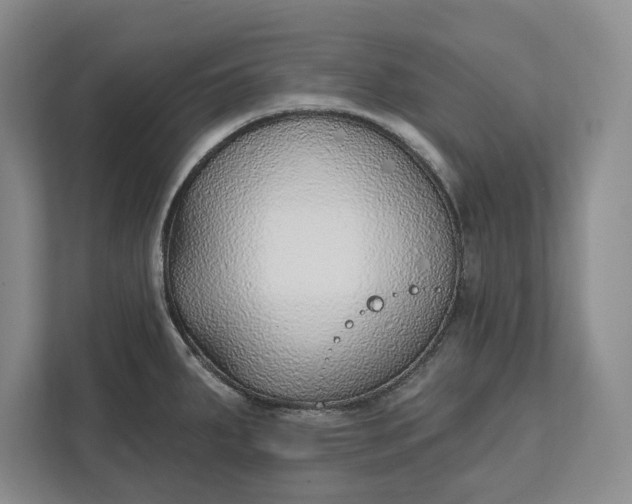 X0000112361287200908271246