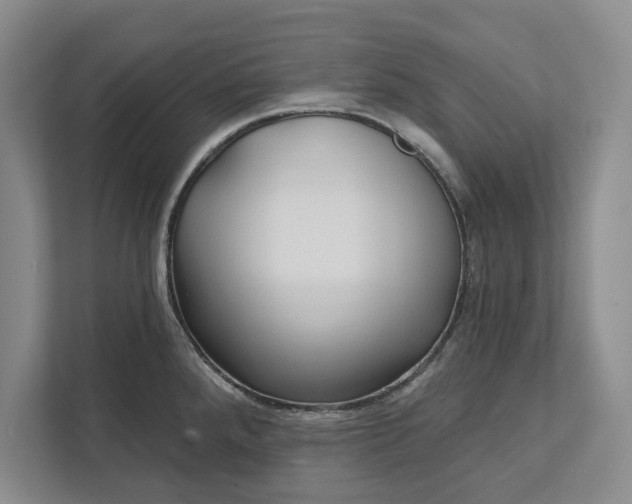 X0000112361288200908271246