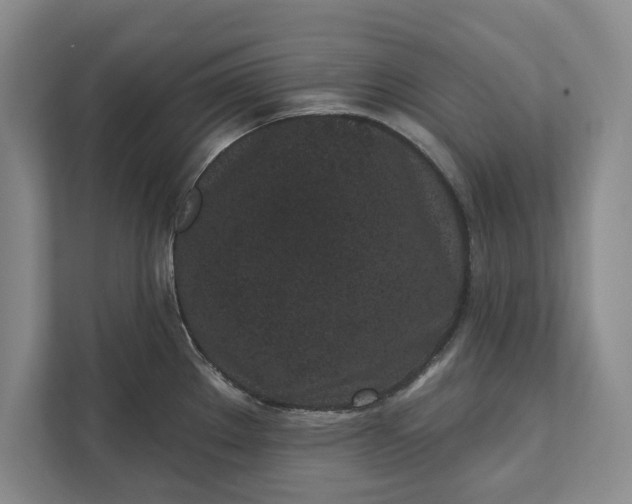 X0000112361289200908271246