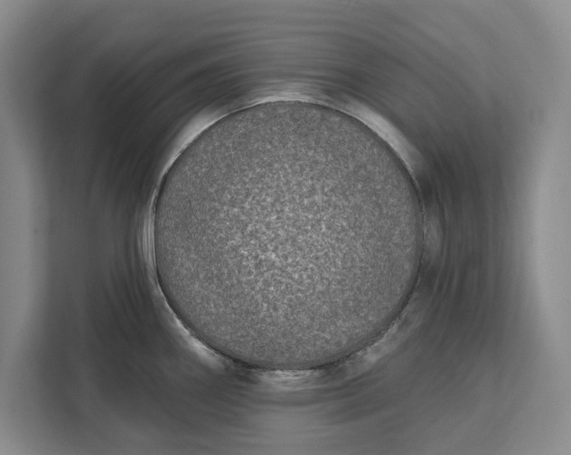 X0000112361290200908271246