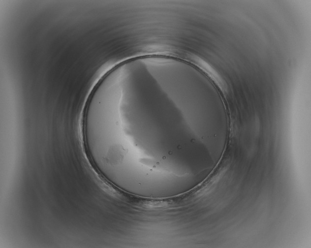 X0000112361291200908271246