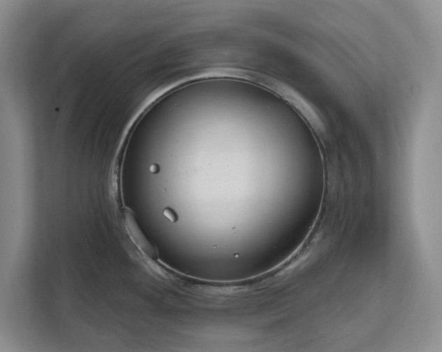 X0000112361292200908271246