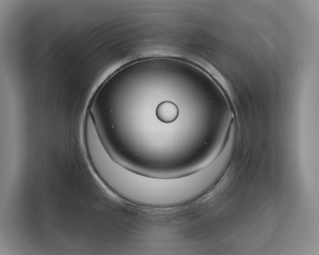 X0000112361293200908271246