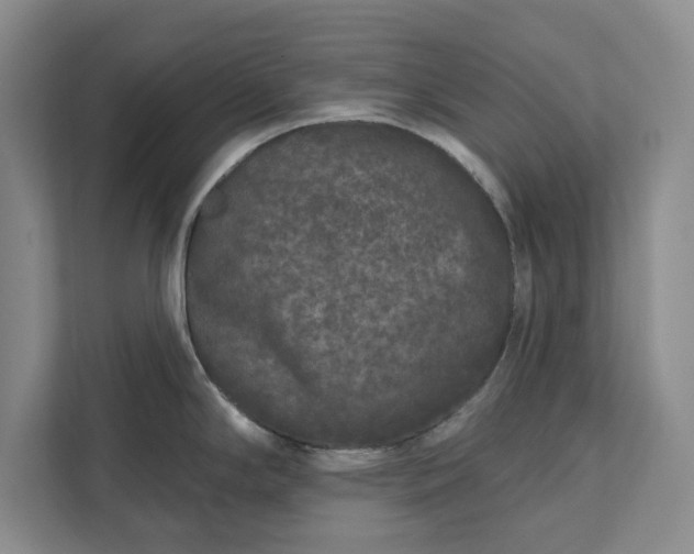 X0000112361294200908271246