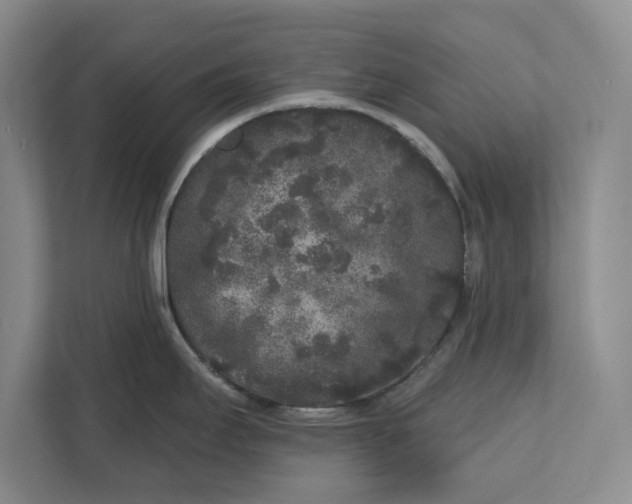 X0000112361295200908271246