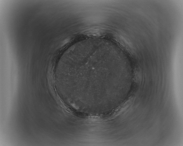 X0000112361297200908271245