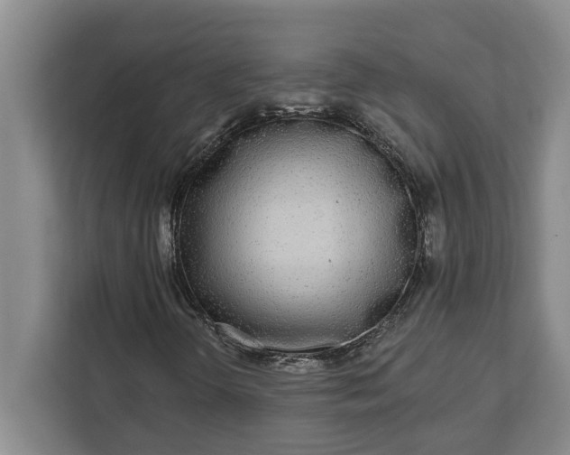 X0000112361298200908271245