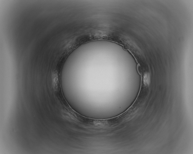 X0000112361299200908271245