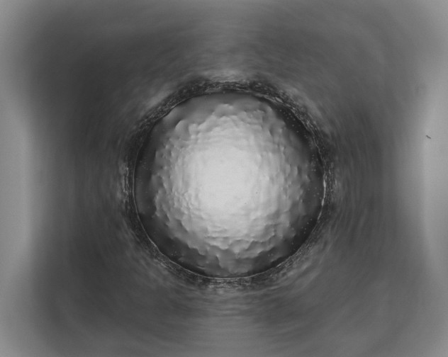 X0000112361301200908271245