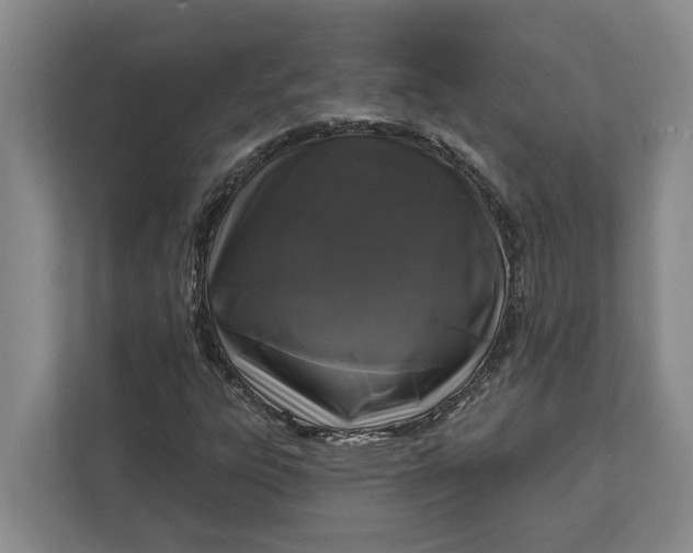 X0000112361303200908271245