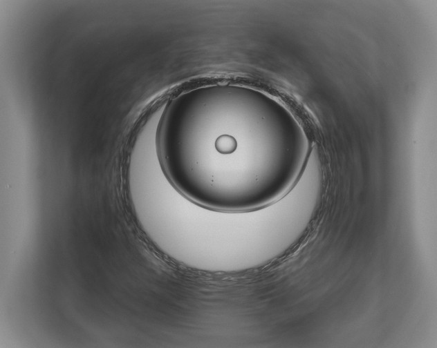 X0000112361304200908271245