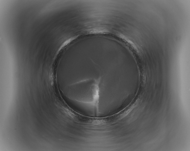 X0000112361306200908271245