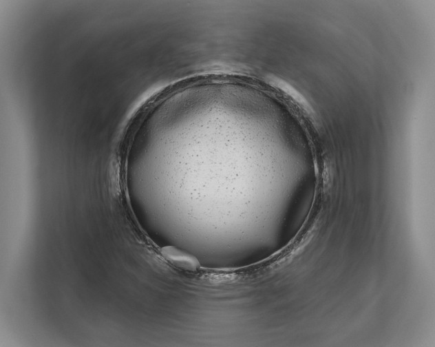 X0000112361310200908271245