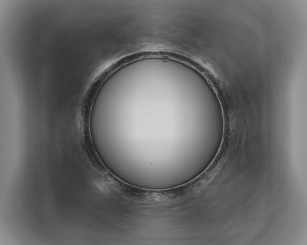 X0000112361311200908271245