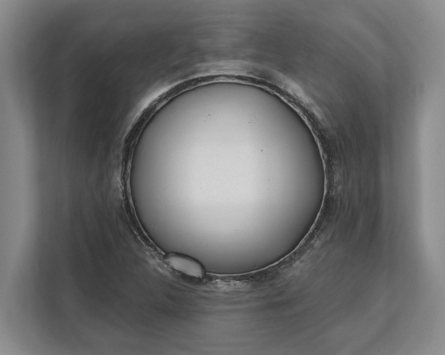 X0000112361312200908271245