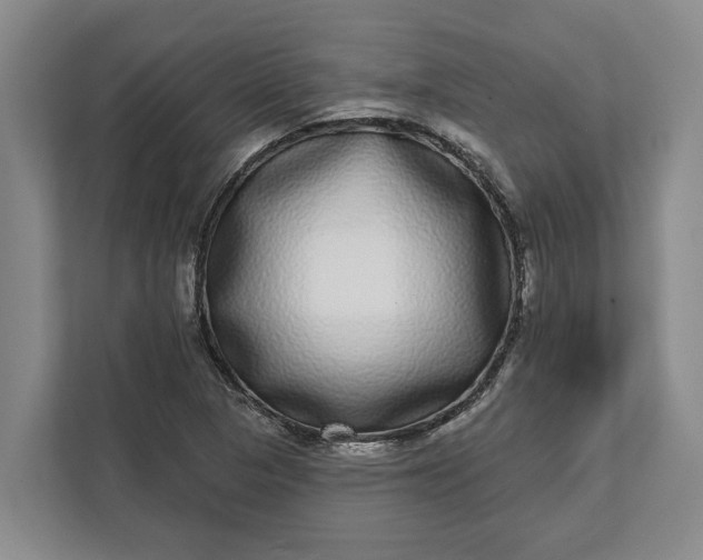 X0000112361313200908271245