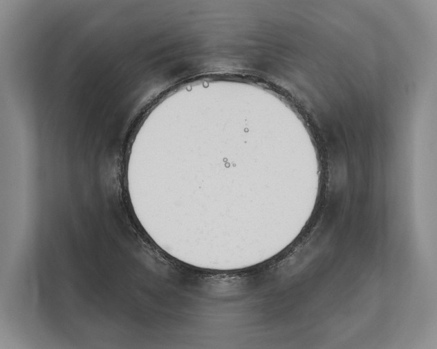 X0000112361314200908271245