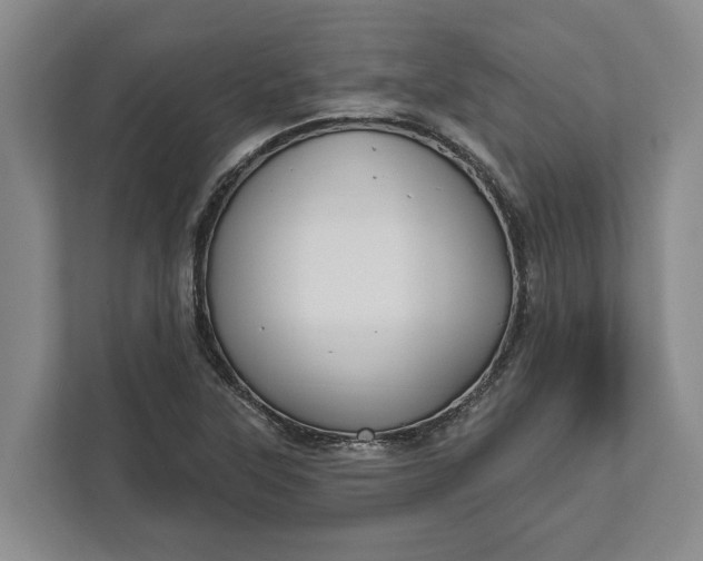 X0000112361315200908271245