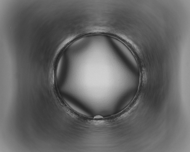 X0000112361317200908271245