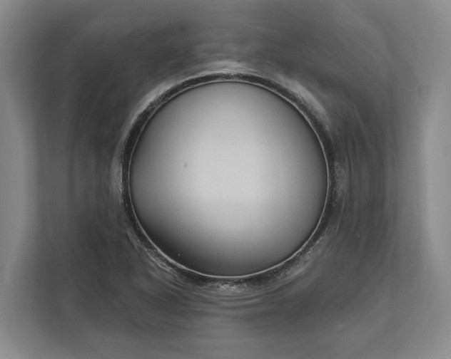 X0000112361318200908271245