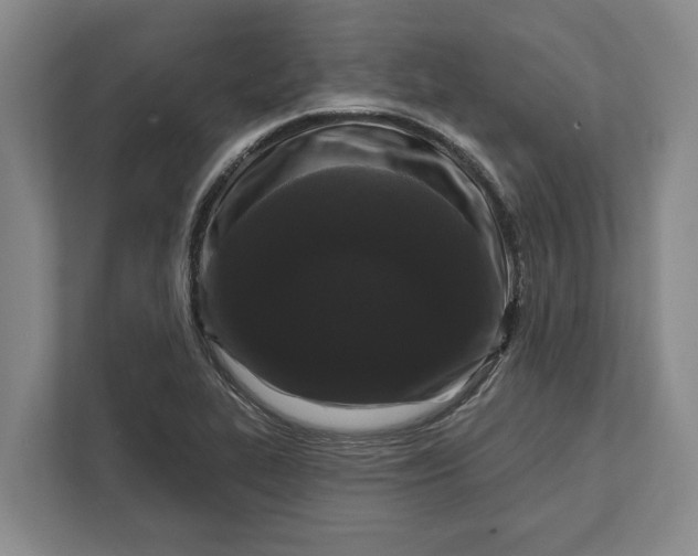 X0000112361319200908271245