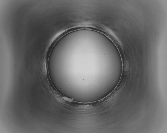 X0000112361320200908271245