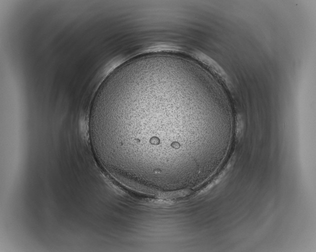 X0000112361321200908271245