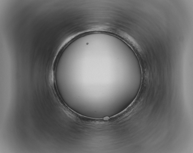 X0000112361324200908271245