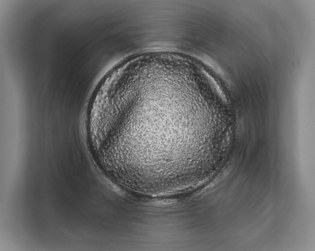 X0000112361325200908271245