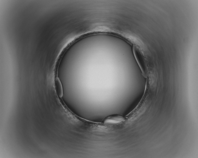 X0000112361326200908271245