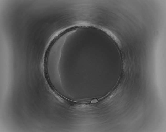 X0000112361327200908271245