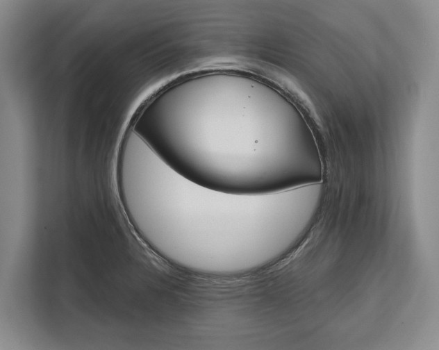 X0000112361328200908271245