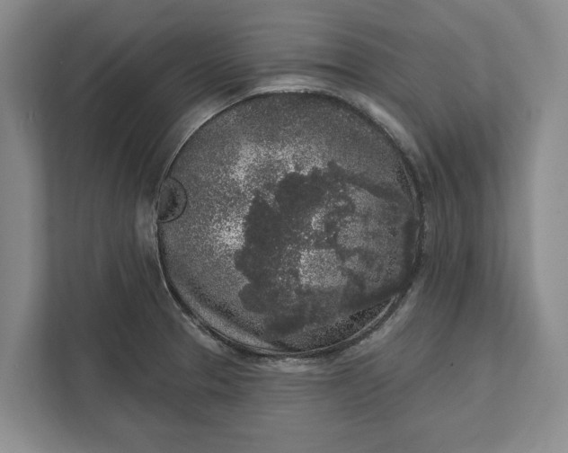 X0000112361329200908271245