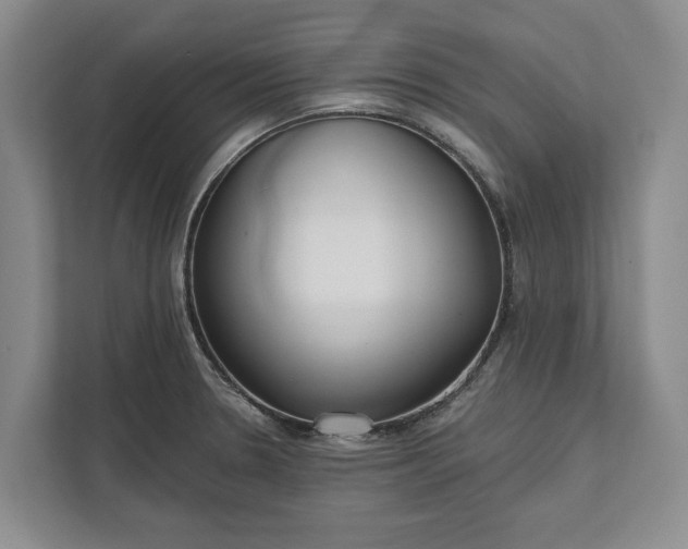 X0000112361330200908271245