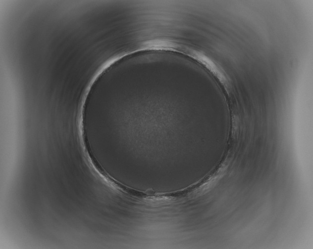 X0000112361331200908271245