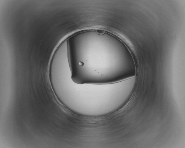 X0000112361332200908271245