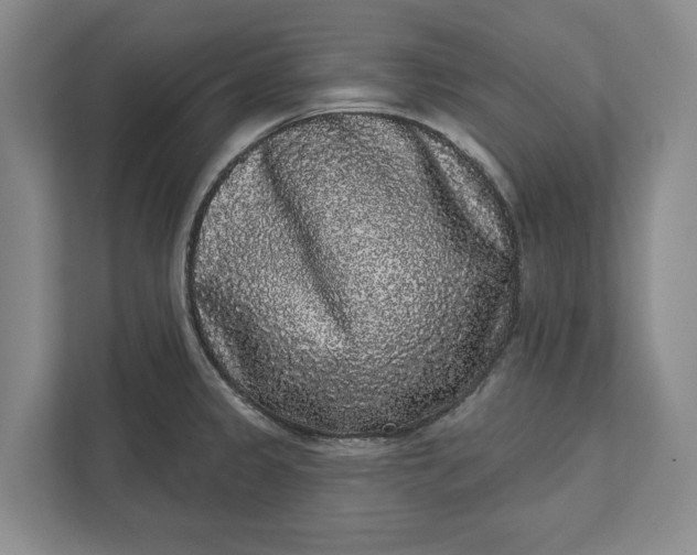 X0000112361333200908271245