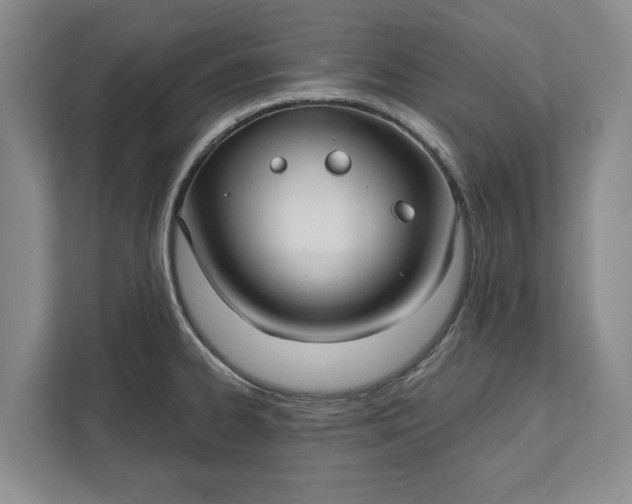 X0000112361334200908271245