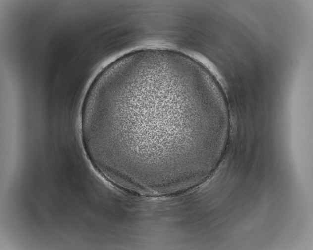 X0000112361335200908271245