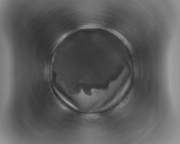 X0000112361337200908271245