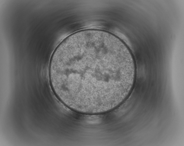 X0000112361338200908271245