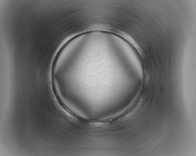 X0000112361339200908271245