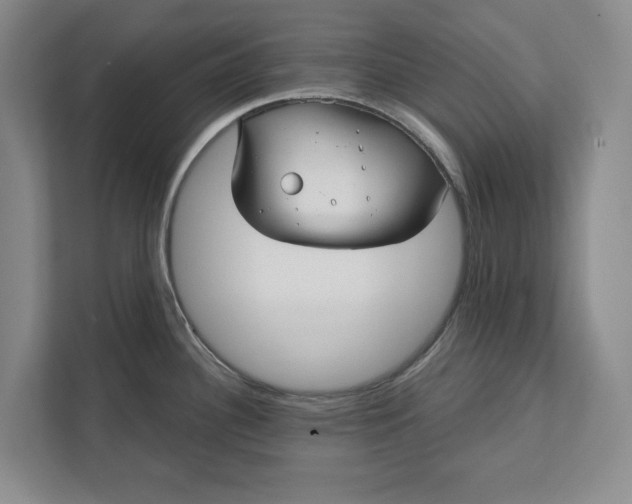 X0000112361340200908271245