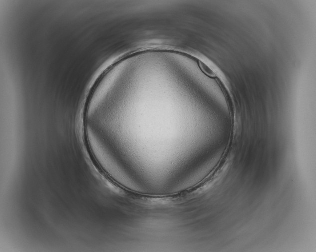 X0000112361341200908271245