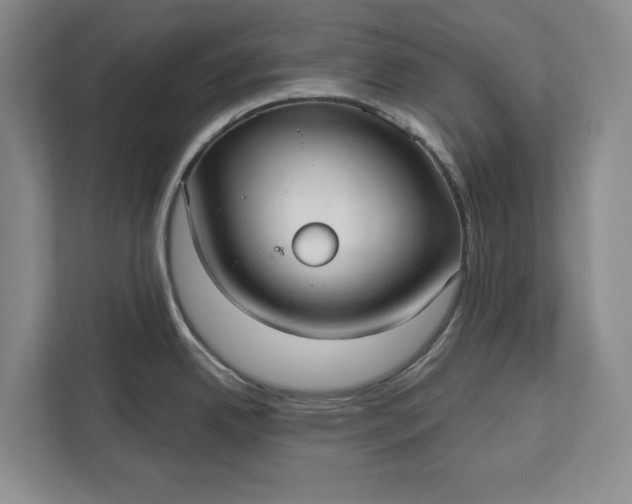 X0000112361342200908271245