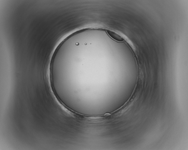 X0000112361343200908271245