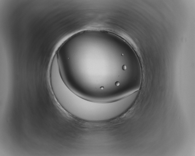 X0000112361344200908271245