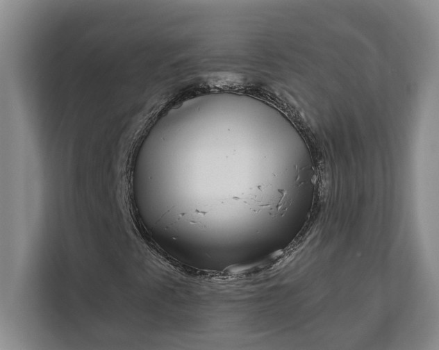 X0000112361345200908271245