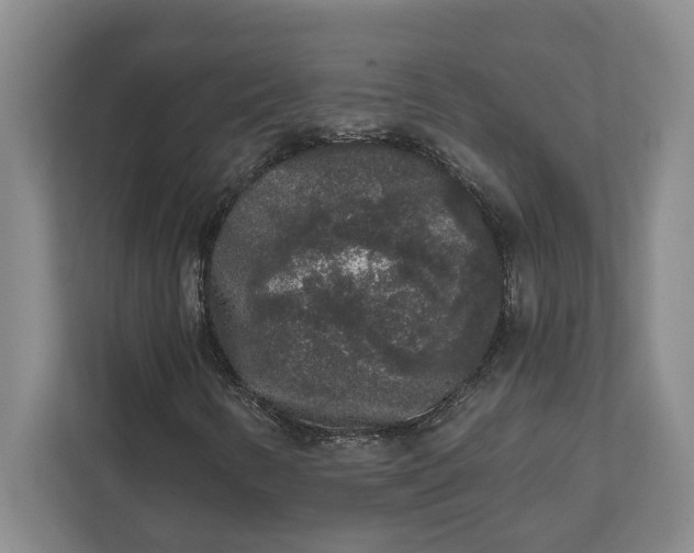 X0000112361346200908271245