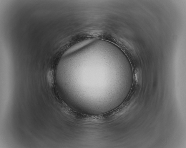 X0000112361347200908271245